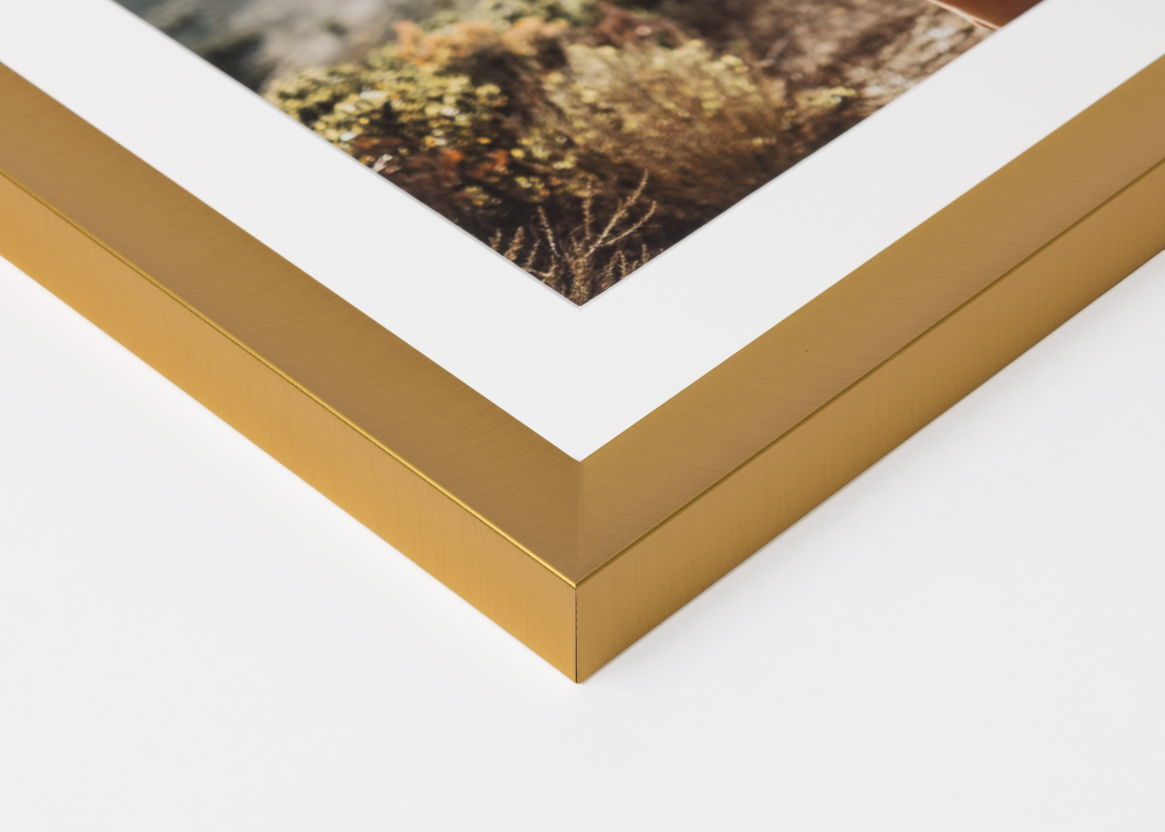 Close-up corner of a Frosted Gold Metal Framed Print moulding on a white background