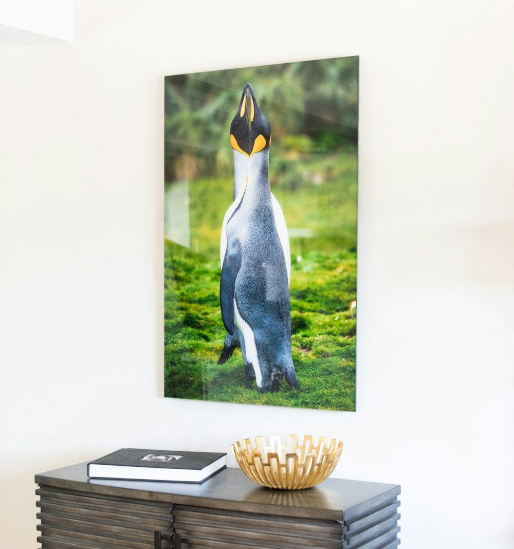 Large Acrylic Print featuring two King Penguins embracing and touching beaks hanging on wall above cabinet with gold bowl and album