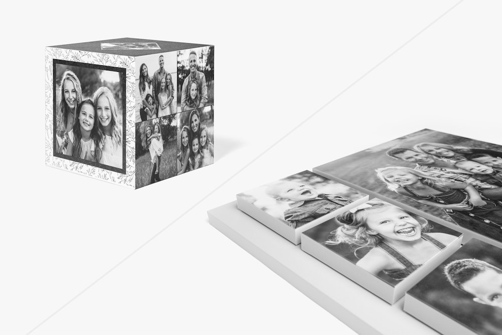 Black and white split screen collage featuring an Image Cube and Image Block with various family portrait images