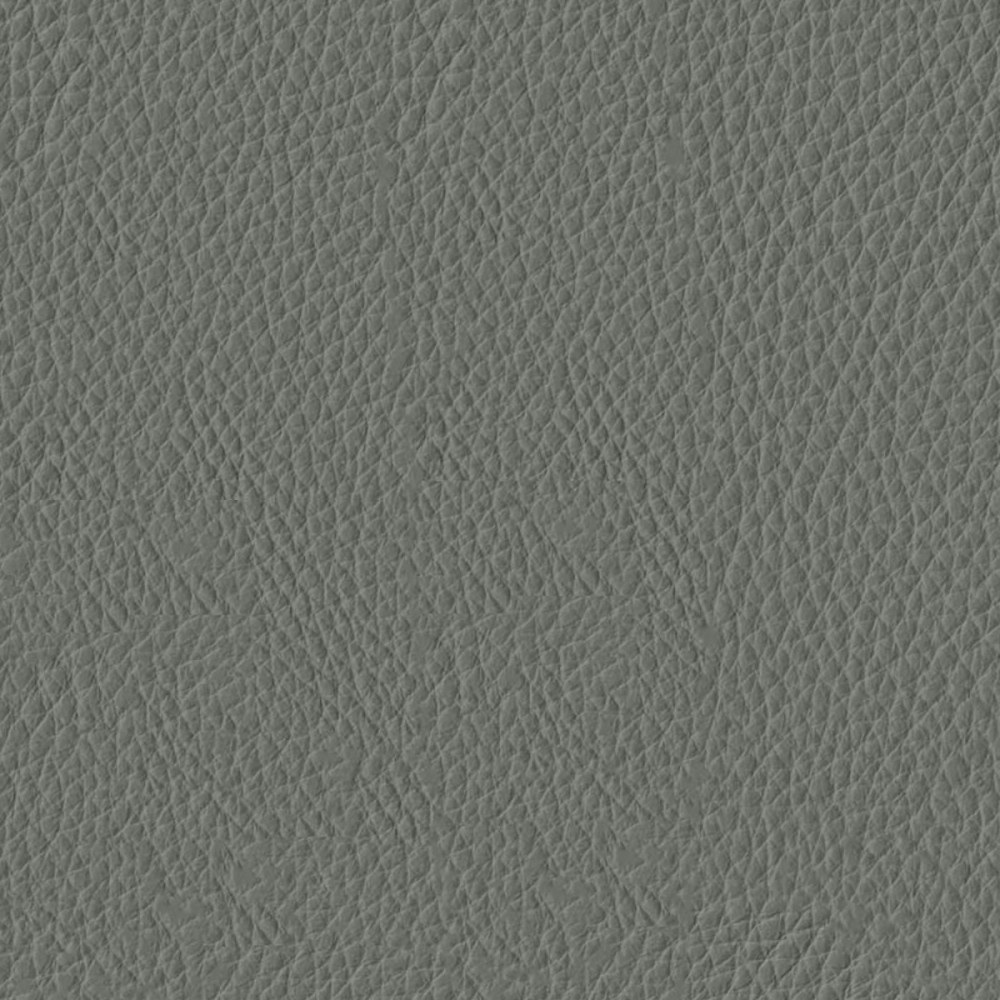 Steel Premier Leather