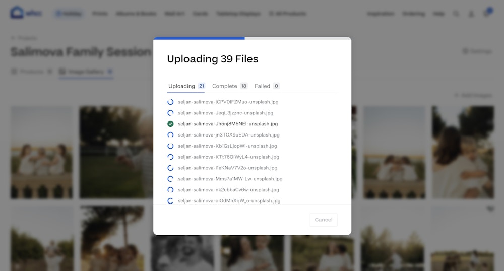 Image file upload modal open over a project gallery tab with list of the filenames currently being uploaded