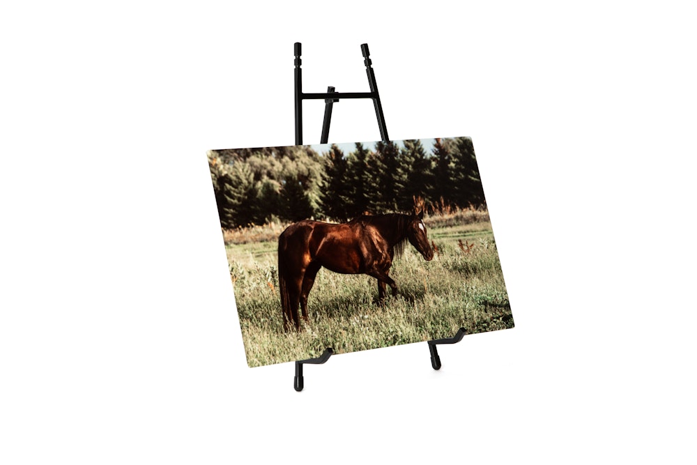 Metal Tabletop Print with black metal display easel