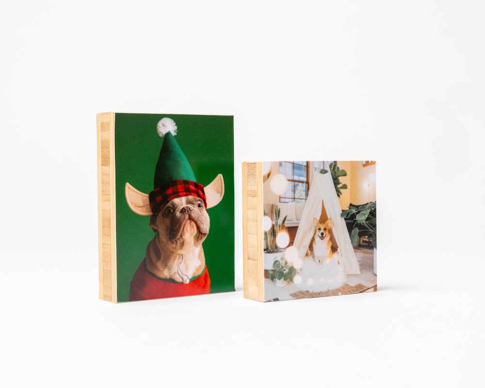 Holiday pet portrait Mini Bamboo Blocks